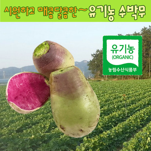 유기농 수박무 1kg